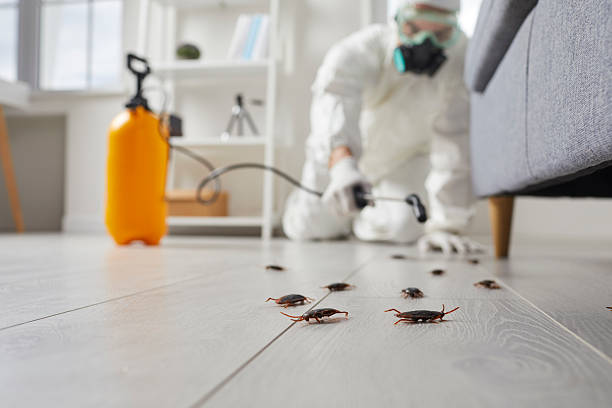 Affordable Cockroach Control solutions in Seabrook Farms, NJ